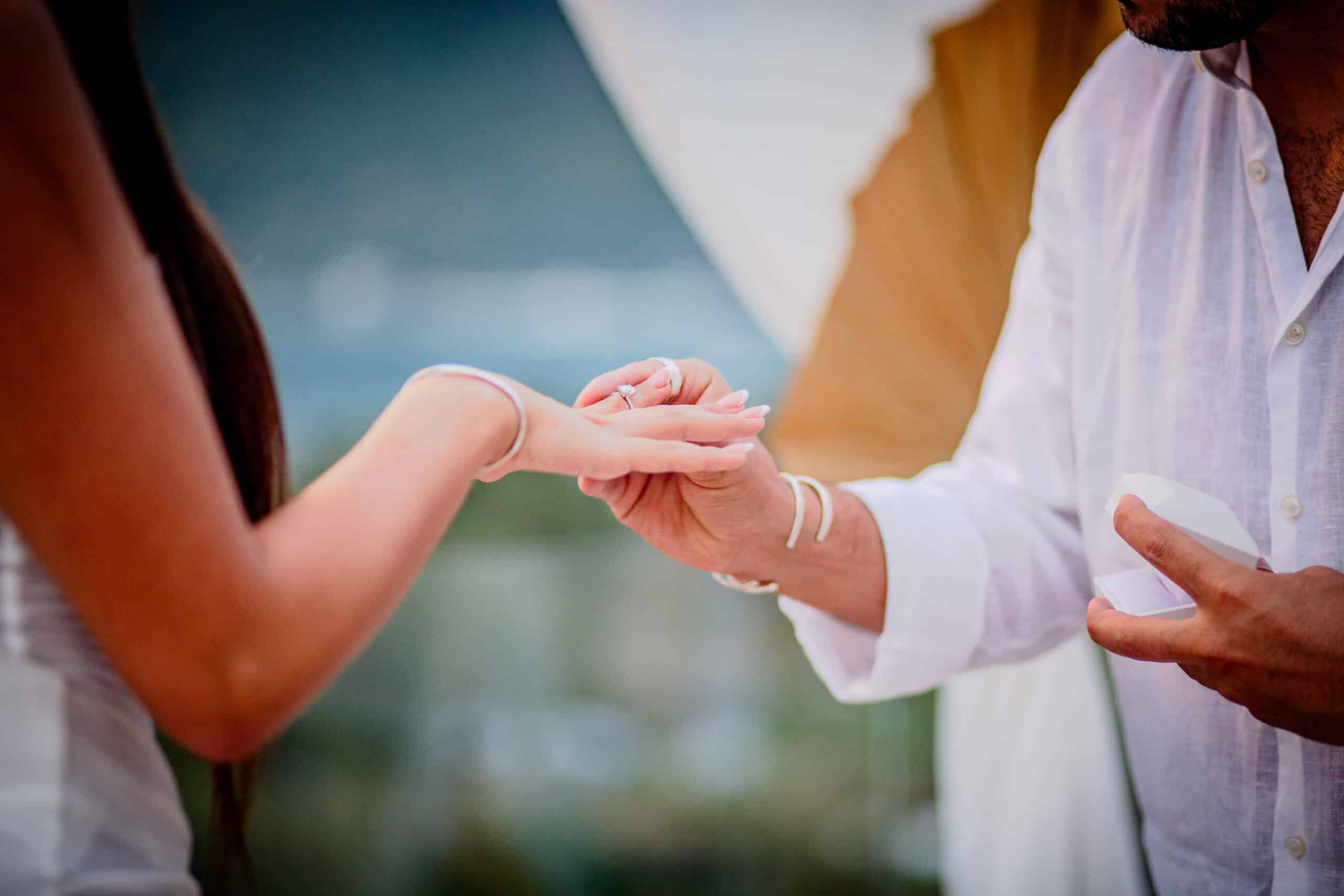 seaview proposal rings